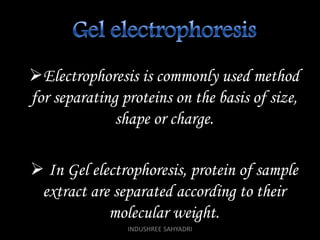Electrophoresis is commonly used method
for separating proteins on the basis of size,
shape or charge.
 In Gel electrophoresis, protein of sample
extract are separated according to their
molecular weight.
INDUSHREE SAHYADRI
 