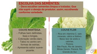 ESCOLHA DAS SEMENTES:
- Deve escolher sementes limpas e tratadas. Que
irão suprir o desejo do produtor, assim, escolhendo
conforme variedade.
• Folhas bem definidas,
lisas e longas.
• Coloração verde-claro.
• Talos no centro em
formas de estrias.
• Apresenta sabor suave-
picante.
COUVE MANTEIGA
• Rica em vitamina C, sais
minerais, cálcio e fósforo.
• Baixo teor de sódio e
calorias.
• Perene.
• São Paulo, Rio de Janeiro,
Minas Gerais, Paraná, Rio
Grande do Sul.
COUVE FLOR
 
