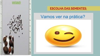 ESCOLHA DAS SEMENTES:
Vamos ver na prática?
 