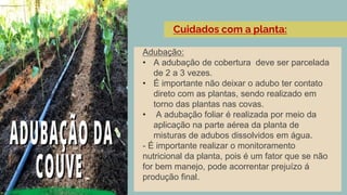 Adubação:
• A adubação de cobertura deve ser parcelada
de 2 a 3 vezes.
• É importante não deixar o adubo ter contato
direto com as plantas, sendo realizado em
torno das plantas nas covas.
• A adubação foliar é realizada por meio da
aplicação na parte aérea da planta de
misturas de adubos dissolvidos em água.
- É importante realizar o monitoramento
nutricional da planta, pois é um fator que se não
for bem manejo, pode acorrentar prejuízo á
produção final.
Cuidados com a planta:
 