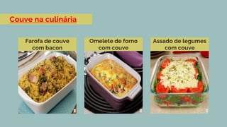 Couve na culinária
Farofa de couve
com bacon
● Free Support 24/7
● Db Download
Omelete de forno
com couve
● Free Support 24/7
● Db Download
● Maintenance
Assado de legumes
com couve
● Free Support 24/7
● Db Download
● Maintenance
● Unlimited Traffic
$15.99
PER MONTH
$25.99
PER MONTH
$35.99
PER MONTH
 