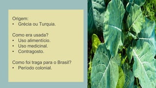 Origem:
• Grécia ou Turquia.
Como era usada?
• Uso alimentício.
• Uso medicinal.
• Contragosto.
Como foi traga para o Brasil?
• Período colonial.
 