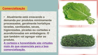 Comercialização
• Atualmente está crescendo a
demanda por produtos minimamente
processados, geralmente hortaliças
lavadas, sanitizadas, secas,
higienizadas, picadas ou cortadas e
acondicionadas em embalagens. O
que também vai agregar valor ao
produto.
A cortesia e honestidade são virtudes
mais do que essenciais para a boa
comercialização.
 