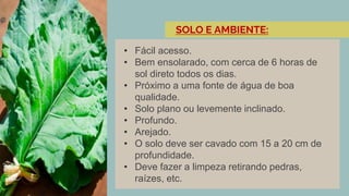 • Fácil acesso.
• Bem ensolarado, com cerca de 6 horas de
sol direto todos os dias.
• Próximo a uma fonte de água de boa
qualidade.
• Solo plano ou levemente inclinado.
• Profundo.
• Arejado.
• O solo deve ser cavado com 15 a 20 cm de
profundidade.
• Deve fazer a limpeza retirando pedras,
raízes, etc.
SOLO E AMBIENTE:
 