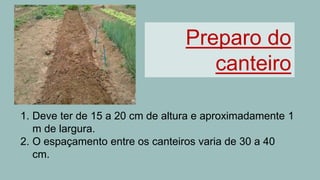 Preparo do
canteiro
1. Deve ter de 15 a 20 cm de altura e aproximadamente 1
m de largura.
2. O espaçamento entre os canteiros varia de 30 a 40
cm.
 
