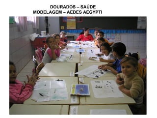 DOURADOS – SAÚDE MODELAGEM – AEDES AEGYPTI 