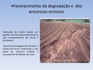 •Favorecimento da degradação e dos
                 processos erosivos



•Liberação de metais tóxicos por
ligações químicas,disponibilizando-os
para envenenamento das terras e
das plantas.

•Aumento do desgaste de minerais e
silicato das terras, conduzindo a uma
perda da estrutura mineral e
conseqüente fertilidade dos solos.
 