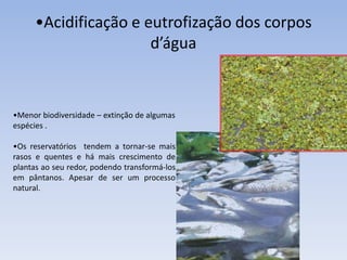 •Acidificação e eutrofização dos corpos
                       d’água



•Menor biodiversidade – extinção de algumas
espécies .

•Os reservatórios tendem a tornar-se mais
rasos e quentes e há mais crescimento de
plantas ao seu redor, podendo transformá-los
em pântanos. Apesar de ser um processo
natural.
 