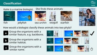 Check
Katie is a marine biologist.
Classification
How would a biologist classify these animals into two phyla?
seagull
sea urchin
jellyfish starfish
fish
She finds these animals:
a
Group the organisms with a
similar feature, e.g. backbone.
b Group the organisms with a
similar habitat.
c Group the organisms with a
similar name.
 