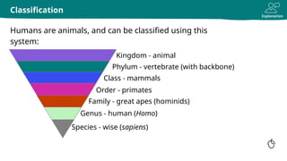 Explanation
Humans are animals, and can be classified using this
system:
Classification
Kingdom - animal
Phylum - vertebrate (with backbone)
Class - mammals
Order - primates
Family - great apes (hominids)
Genus - human (Homo)
Species - wise (sapiens)
 