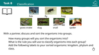 Practice
Task B Classification
With a partner, discuss and sort the organisms into groups.
1. How many groups will you sort the organisms into?
2. What is the rule you will use to classify organisms into each group?
3. Add the following labels to your sorted organisms: kingdom, phylum and
class.
fly frog
grass snake slug snail spider
fish
 