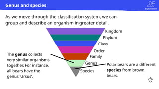 Explanation
Genus and species
As we move through the classification system, we can
group and describe an organism in greater detail.
Kingdom
Phylum
Class
Order
Family
Genus
Species
The genus collects
very similar organisms
together. For instance,
all bears have the
genus ‘Ursus’.
Polar bears are a different
species from brown
bears.
 