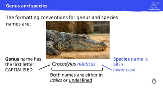 Explanation
The formatting conventions for genus and species
names are:
Genus and species
Crocodylus nileticus
Genus name has
the first letter
CAPITALISED
Species name is
all in
lower case
Both names are either in
italics or underlined
 