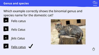 Check
a
b
c
d
Which example correctly shows the binomial genus and
species name for the domestic cat?
Genus and species
Felis Catus
Felis catus
Felis catus
felis Catus
 