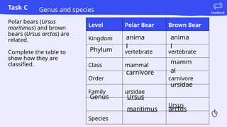 Task C
Feedback
Polar bears (Ursus
maritimus) and brown
bears (Ursus arctos) are
related.
Complete the table to
show how they are
classified.
Genus and species
Level Polar Bear Brown Bear
Kingdom
vertebrate vertebrate
Class mammal
Order carnivore
Family ursidae
Ursus
Species
anima
l
anima
l
Phylum
mamm
al
carnivore
ursidae
Genus Ursus
maritimus arctos
 
