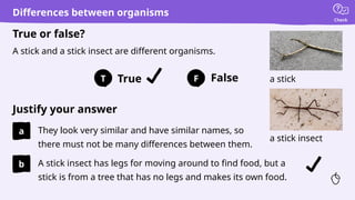 True False
Justify your answer
True or false?
T F
Check
a
b
They look very similar and have similar names, so
there must not be many differences between them.
A stick and a stick insect are different organisms.
A stick insect has legs for moving around to find food, but a
stick is from a tree that has no legs and makes its own food.
Differences between organisms
a stick
a stick insect
 
