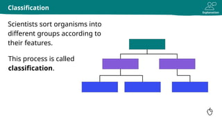 Explanation
Classification
Scientists sort organisms into
different groups according to
their features.
This process is called
classification.
 