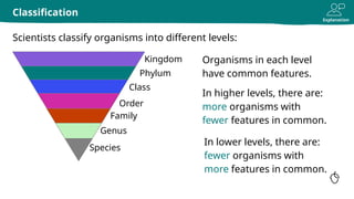 Explanation
Organisms in each level
have common features.
Scientists classify organisms into different levels:
Classification
Kingdom
Phylum
Class
Order
Family
Genus
Species
In higher levels, there are:
more organisms with
fewer features in common.
In lower levels, there are:
fewer organisms with
more features in common.
 