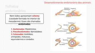 Nem todos apresentam celoma
(cavidade formada no interior da
mesoderme). Esses são chamados
acelomados.
Folhetos
embrionários
1. Acelomados: Platelmintos
2. Pseudocelomados: Nematódeos
3. Celomados: Anelídeos,
artrópodes, moluscos,
equinodermos e cordados.
Desenvolvimento embrionário dos animais
 