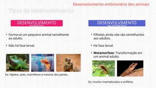 DESENVOLVIMENTO
DIRETO
DESENVOLVIMENTO
INDIRETO
• Forma-se um pequeno animal semelhante
ao adulto.
• Não há fase larval.
Ex: répteis, aves, mamíferos e maioria dos peixes.
• Filhotes ainda não são semelhantes
aos adultos.
• Há fase larval.
• Metamorfose: Transformação em
um animal adulto.
Ex: muitos invertebrados e anfíbios
Tipos de desenvolvimento
Desenvolvimento embrionário dos animais
 