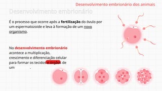 No desenvolvimento embrionário
acontece a multiplicação,
crescimento e diferenciação celular
para formar os tecidos e órgãos de
um embrião.
Desenvolvimento embrionário
É o processo que ocorre após a fertilização do óvulo por
um espermatozoide e leva à formação de um novo
organismo.
Desenvolvimento embrionário dos animais
 