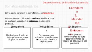 Em seguida, surge um terceiro folheto: a mesoderme.
Ao mesmo tempo é formado o celoma (cavidade onde
se localizam os órgãos), a notocorda e o intestino
primitivo.
Folhetos embrionários
Ectoderme Mesoderm
e
Endoderm
e
Dará origem à pele, ao
sistema nervoso e aos
órgãos sensoriais.
Forma os ossos,
músculos e os sistemas
excretor, circulatório e
reprodutivo.
Dá origem ao
revestimento do trato
gastrointestinal, ao
fígado, ao pâncreas e aos
pulmões.
1.Ectoderm
e
2.
Mesoder
me
3.
Endoderm
e
Desenvolvimento embrionário dos animais
 