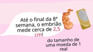 Até o final da 8ª
semana, o embrião
mede cerca de 2,5
cm!
do tamanho de
uma moeda de 1
real
 
