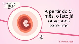 a partir
do 5º
mês
A partir do 5º
mês, o feto já
ouve sons
externos
3. Período Fetal
5º
mês
 