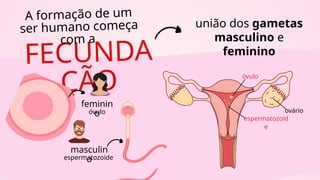 FECUNDA
ÇÃO
união dos gametas
masculino e
feminino
A formação de um
ser humano começa
com a
óvulo
ovário
espermatozoid
e
feminin
o
masculin
o
óvulo
espermatozoide
 
