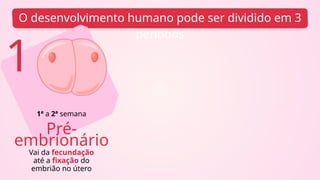 O desenvolvimento humano pode ser dividido em 3
períodos
1
Pré-
embrionário
1ª a 2ª semana
Vai da fecundação
até a fixação do
embrião no útero
 