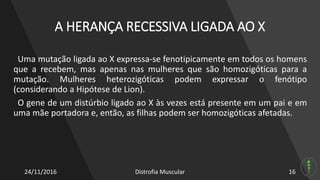 A HERANÇA RECESSIVA LIGADA AO X
Uma mutação ligada ao X expressa-se fenotipicamente em todos os homens
que a recebem, mas apenas nas mulheres que são homozigóticas para a
mutação. Mulheres heterozigóticas podem expressar o fenótipo
(considerando a Hipótese de Lion).
O gene de um distúrbio ligado ao X às vezes está presente em um pai e em
uma mãe portadora e, então, as filhas podem ser homozigóticas afetadas.
24/11/2016 Distrofia Muscular 16
 