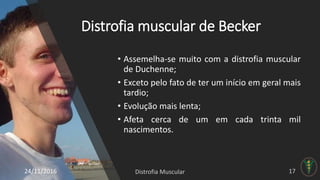 Distrofia muscular de Becker
• Assemelha-se muito com a distrofia muscular
de Duchenne;
• Exceto pelo fato de ter um início em geral mais
tardio;
• Evolução mais lenta;
• Afeta cerca de um em cada trinta mil
nascimentos.
24/11/2016
 