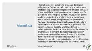 Genética
Geneticamente, a distrofia muscular de Becker,
difere da de Duchenne pelo fato de que os homens
afetados são capazes de reproduzir, embora com isso
a sua fertilidade relativa seja um tanto reduzida. Os
pacientes afetados pela distrofia muscular de Becker
podem, portanto, transmitir o gene anormal para
todas as suas filhas, que poderão ser portadoras.
Todos os descentendes masculinos podem herdar o
cromossomo X normal da sua mãe e, portanto não
serem afetados. Durante um longo tempo foi
admitido que a forma de distrofia muscular severa de
Duchenne e a benigna de Becker representassem
variantes extremas da mesma doença. Entretanto,
tem-se acumulado evidencias nos estudos de
linhagem, que são responsáveis dois genes diferentes,
localizados em diferentes partes do cromossomo X.
 