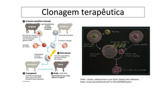 Clonagem terapêutica
Vídeo - Clones, células-tronco e um futuro (talvez) bem diferente -
https://youtu.be/weQsXwXnxdY?si=RdJs6KR8W6tnpGrv
 