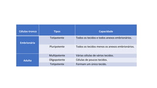 Células-tronco Tipos Capacidade
Embrionária
Totipotente Todos os tecidos e todos anexos embrionários.
Pluripotente Todos os tecidos menos os anexos embrionários.
Adulta
Multipotente Várias células de vários tecidos.
Oligopotente Células de poucos tecidos.
Totipotente Formam um único tecido.
 