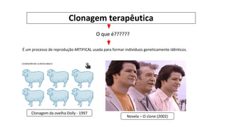Clonagem terapêutica
O que é??????
É um processo de reprodução ARTIFICAL usada para formar indivíduos geneticamente idênticos.
Clonagem da ovelha Dolly - 1997
Novela – O clone (2002)
 