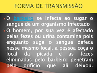  O barbeiro se infecta ao sugar o
sangue de um organismo infectado
 O homem, por sua vez é afectado
pelas fezes ou urina contamina pois
enquanto suga o sangue defeca
nesse mesmo local. a pessoa coça o
local da picada e as fezes
eliminadas pelo barbeiro penetram
pelo orifício que ali deixou.
 