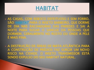  AS CASAS, COM REBOCO DEFEITUOSO E SEM FORRO,
SÃO HABITAT PARA O INSETO BARBEIRO, QUE DORME
DE DIA NAS RACHADURAS DAS PAREDES E SAI À
NOITE PARA SUGAR O SANGUE DA PESSOAS QUE
DORMEM, GERALMENTE NO ROSTO OU ONDE A PELE
É MAIS FINA.
 A DESTRUIÇÃO DE ÁREAS DE MATA ATLÂNTICA PARA
A CONSTRUÇÃO DE PRÉDIOS FAZ SURGIR UM NOVO
RISCO NA CIDADE. O INSETO TRANSMISSOR ESTÁ
SENDO EXPULSO DO SEU HABITAT NATURAL.
 