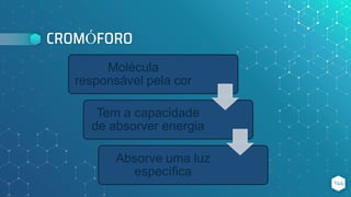 CROMÓFORO
144
Molécula
responsável pela cor
Tem a capacidade
de absorver energia
Absorve uma luz
específica
 