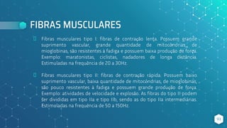 FIBRAS MUSCULARES
⬥ Fibras musculares tipo I: fibras de contração lenta. Possuem grande
suprimento vascular, grande quantidade de mitocôndrias, de
mioglobinas, são resistentes à fadiga e possuem baixa produção de força.
Exemplo: maratonistas, ciclistas, nadadores de longa distância.
Estimuladas na frequência de 20 a 30Hz.
⬥ Fibras musculares tipo II: fibras de contração rápida. Possuem baixo
suprimento vascular, baixa quantidade de mitocôndrias, de mioglobinas,
são pouco resistentes à fadiga e possuem grande produção de força.
Exemplo: atividades de velocidade e explosão. As fibras do tipo II podem
ser divididas em tipo IIa e tipo IIb, sendo as do tipo IIa intermediárias.
Estimuladas na frequência de 50 a 150Hz.
93
 