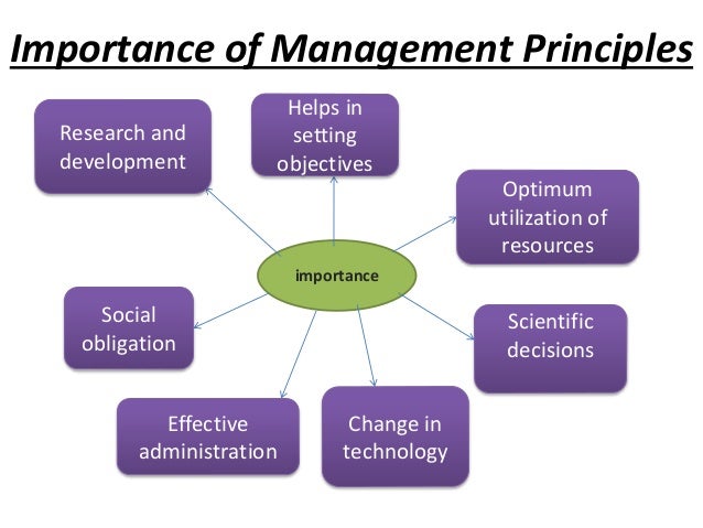 essay importance of management