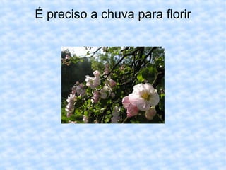É preciso a chuva para florir 