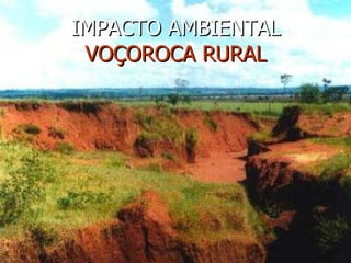 IMPACTO AMBIENTAL VOÇOROCA RURAL 