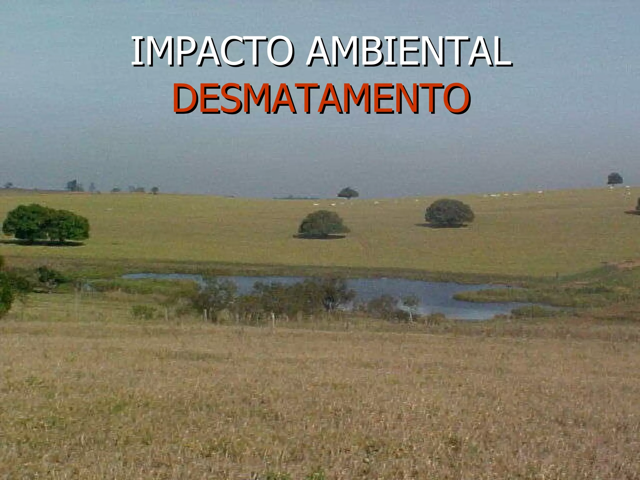IMPACTO AMBIENTAL DESMATAMENTO 