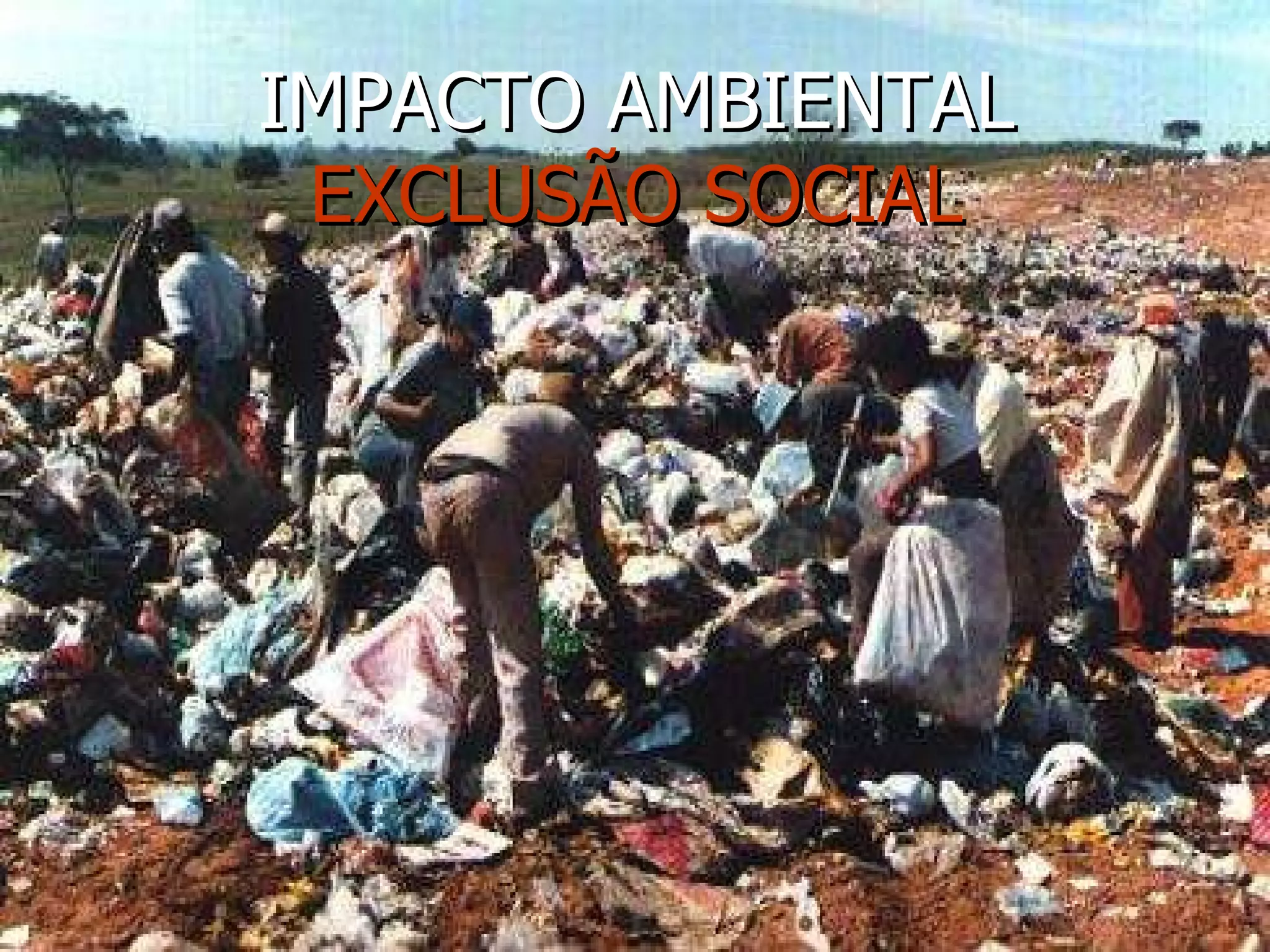 IMPACTO AMBIENTAL EXCLUSÃO SOCIAL 