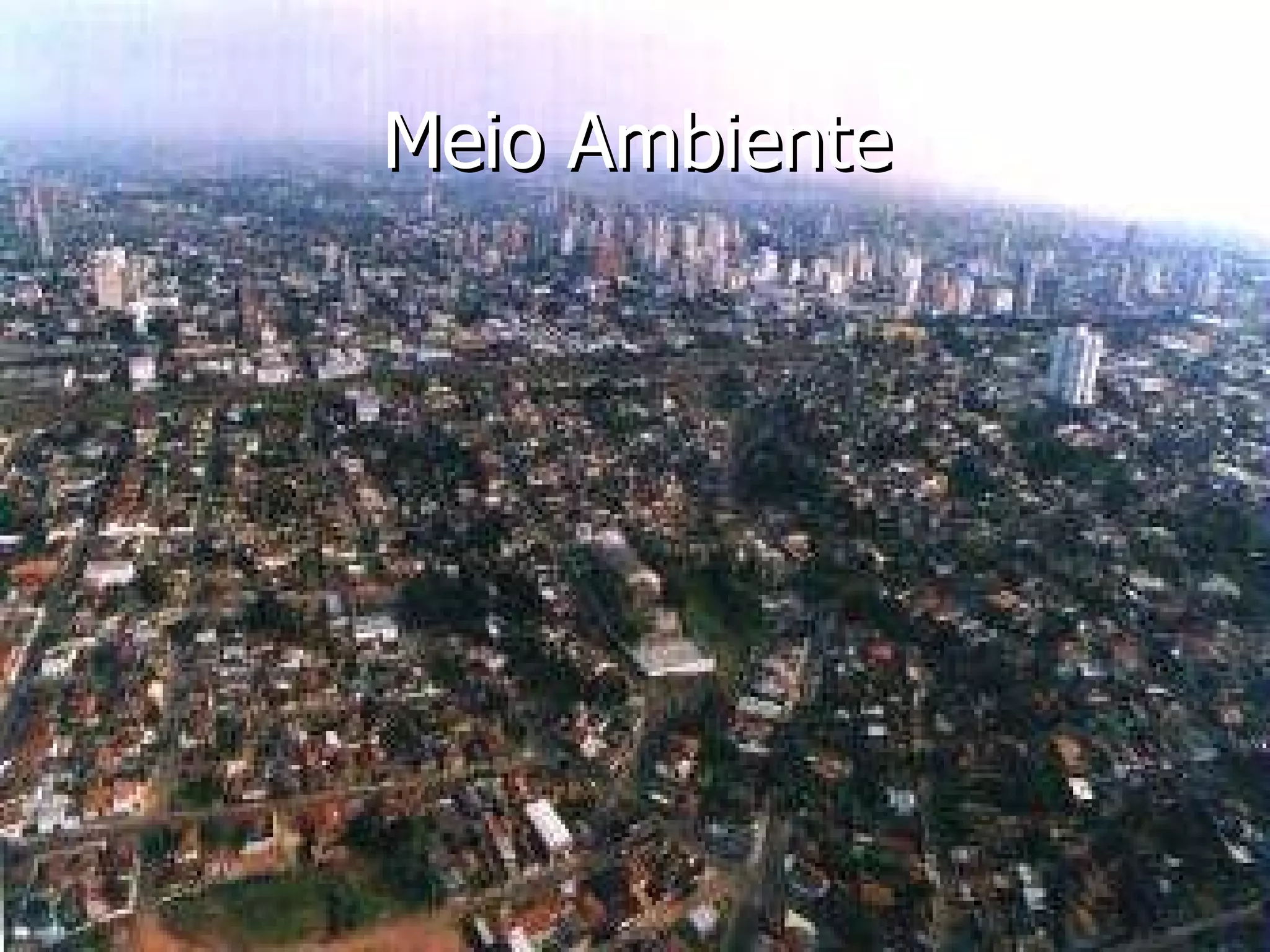 Meio Ambiente 