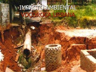 IMPACTO AMBIENTAL VOÇOROCA URBANA 