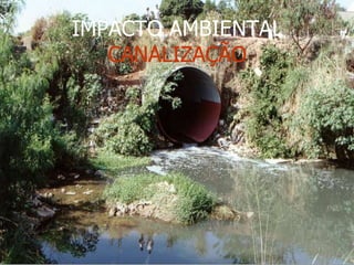 IMPACTO AMBIENTAL CANALIZAÇÃO 