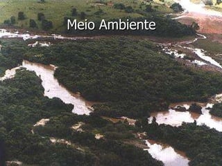 Meio Ambiente 