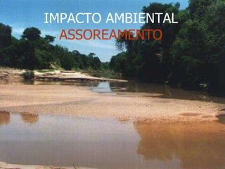 IMPACTO AMBIENTAL ASSOREAMENTO 